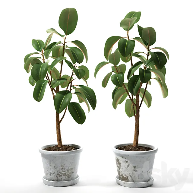 Set of plants 05 3DModel Set of plants 05 3DModel