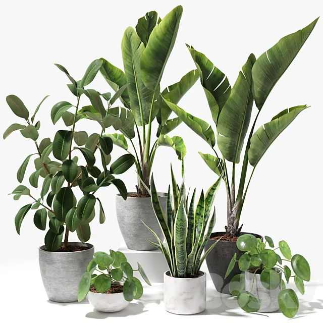 Set of plants 09 3D Model