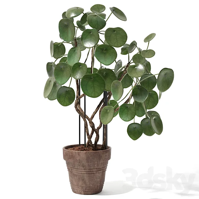 Set of plants 12 3D Model Set of plants 12 3D Model