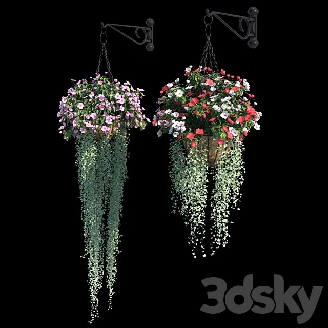 Set of plants No. 2 (balsamine + dichondra) 3D Model Set of plants No. 2 (balsamine + dichondra) 3D Model