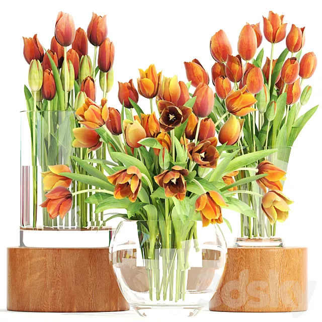 Set of spring bouquets 3. Tulips flower orange vase spring flowers 3D Model Set of spring bouquets 3. Tulips flower orange vase spring flowers 3D Model