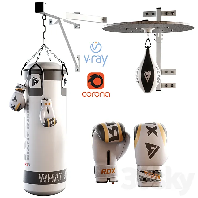 Set Punching bag and gloves from ROX_2 Free Download