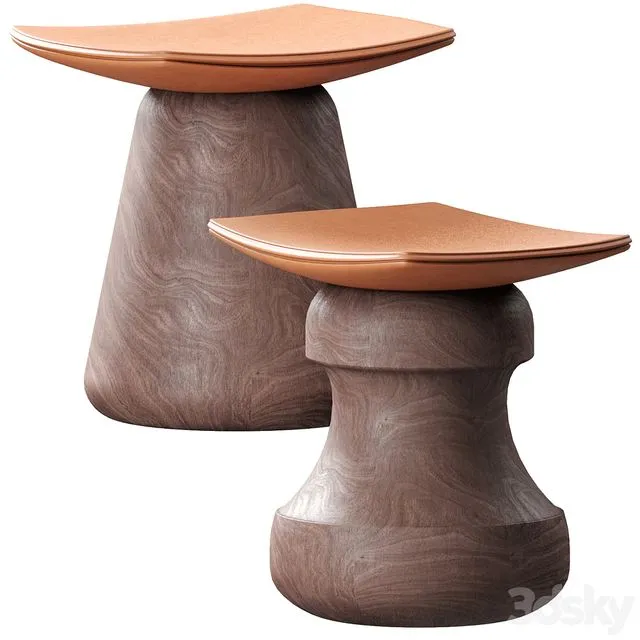 set stool ROI and MAT 3D Model