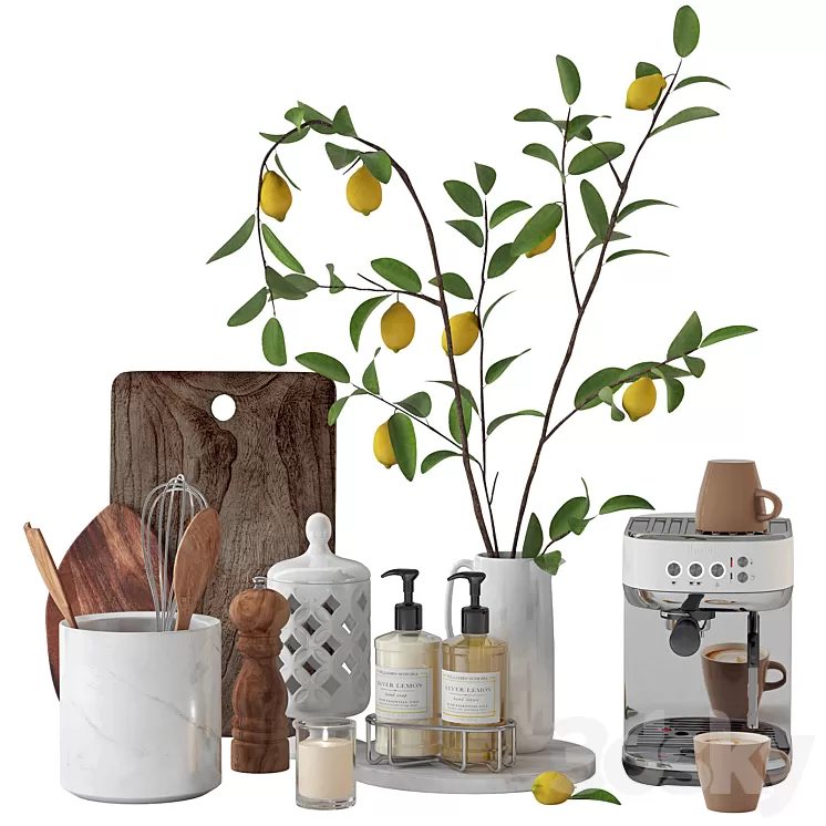 Set with lemon branches 3D Model Set with lemon branches 3D Model