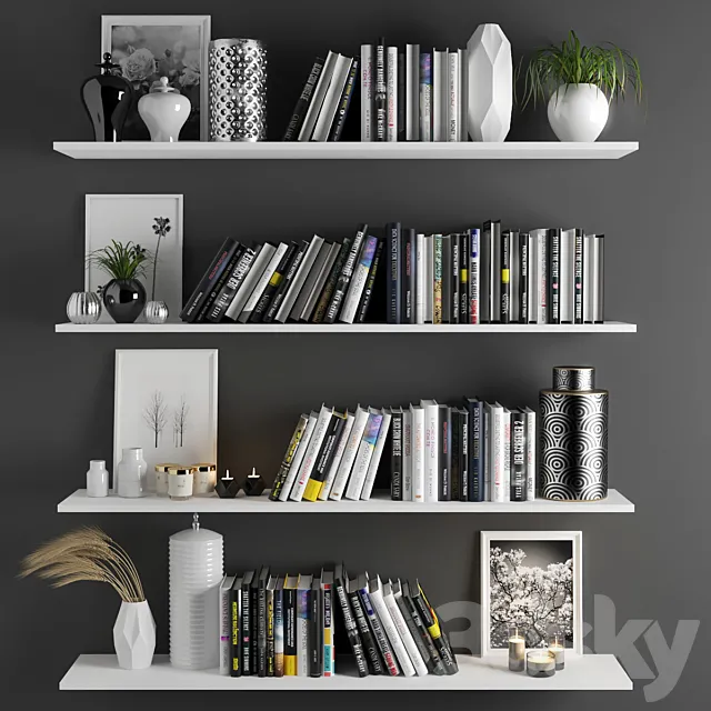 set1101 -book shelve 3DModel