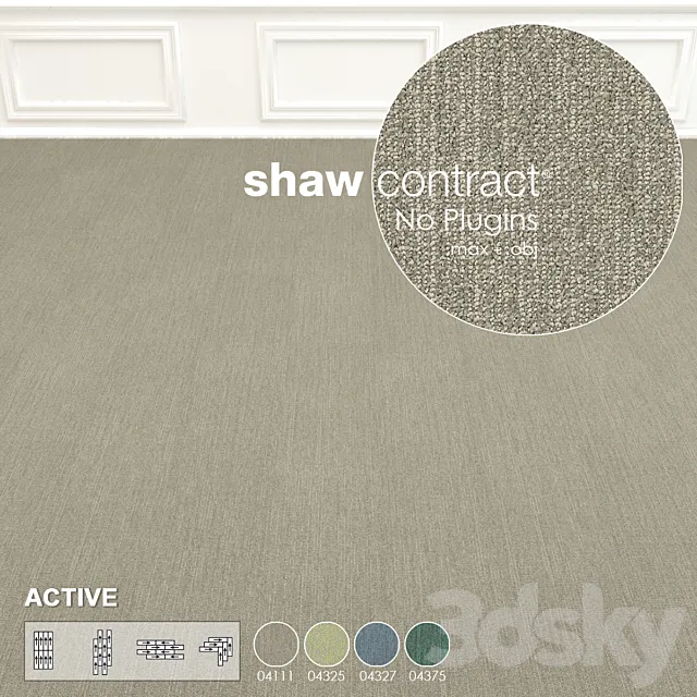 Shaw Carpet Active Wall to Wall Floor No 10 3D Model Shaw Carpet Active Wall to Wall Floor No 10 3D Model