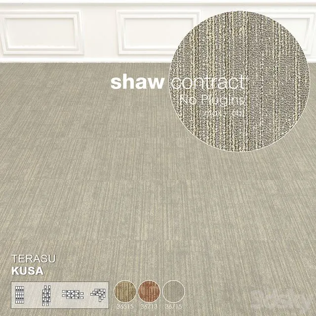Shaw Carpet Terasu Kusa Wall to Wall Floor No 2 3D Model Shaw Carpet Terasu Kusa Wall to Wall Floor No 2 3D Model