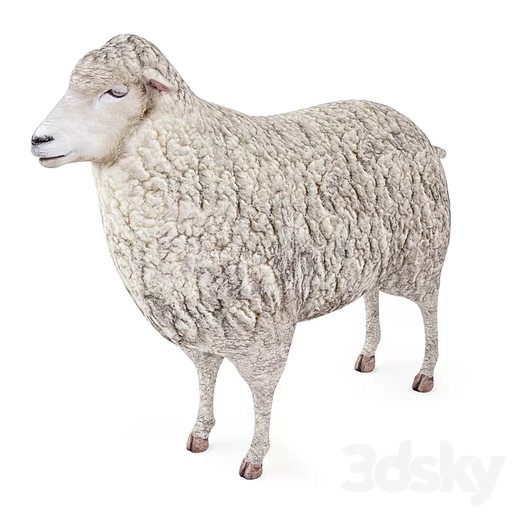 Sheep 3D Model