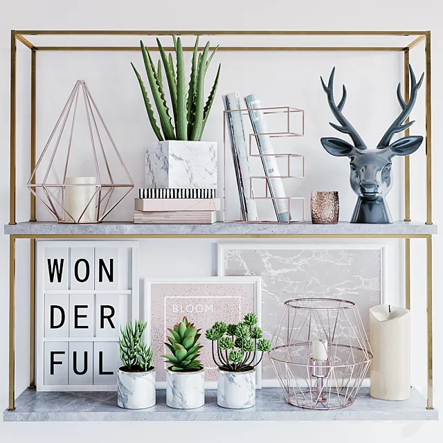 Shelf with decor 3DModel