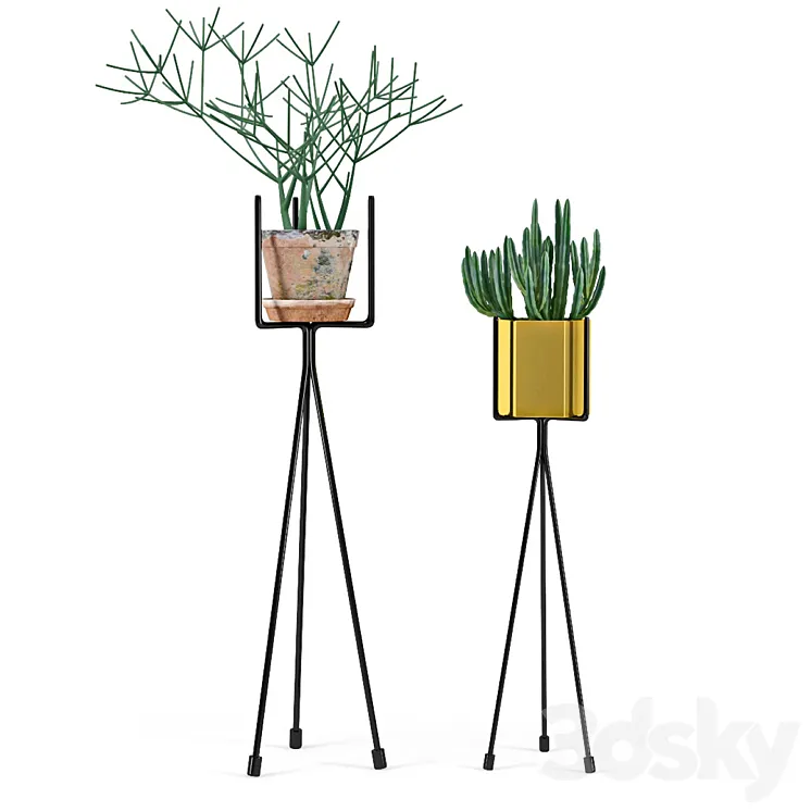 Shelf with Plants 3D Model Free Download