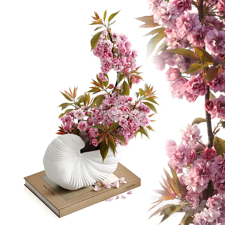 Shell Pot with Sakura Ferm Living 3D Model Free Download