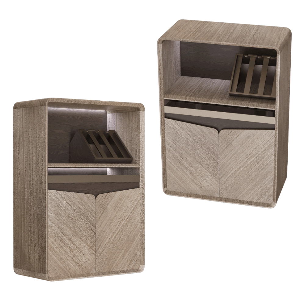 Shin Plaza – Rack Tesla 3D Model