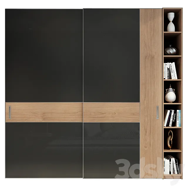 Shkafulkin Shkaf Kupe Moviment 3DModel