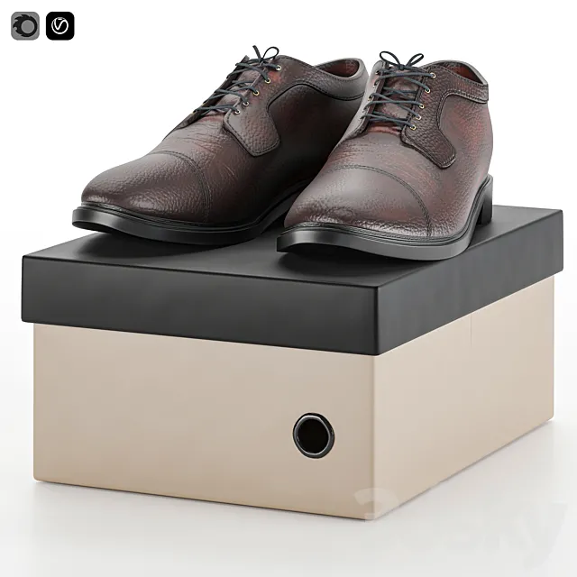 shoes 1 3DModel