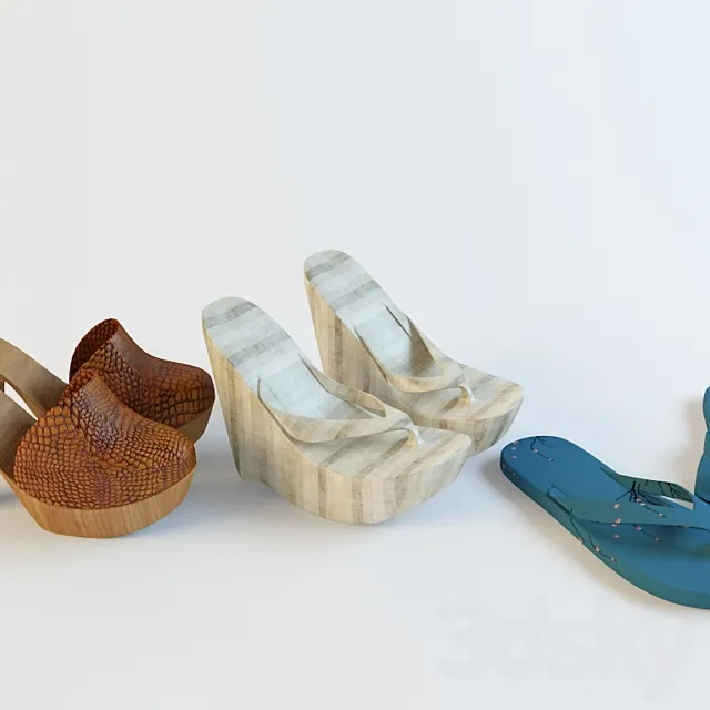 shoes 3D Model