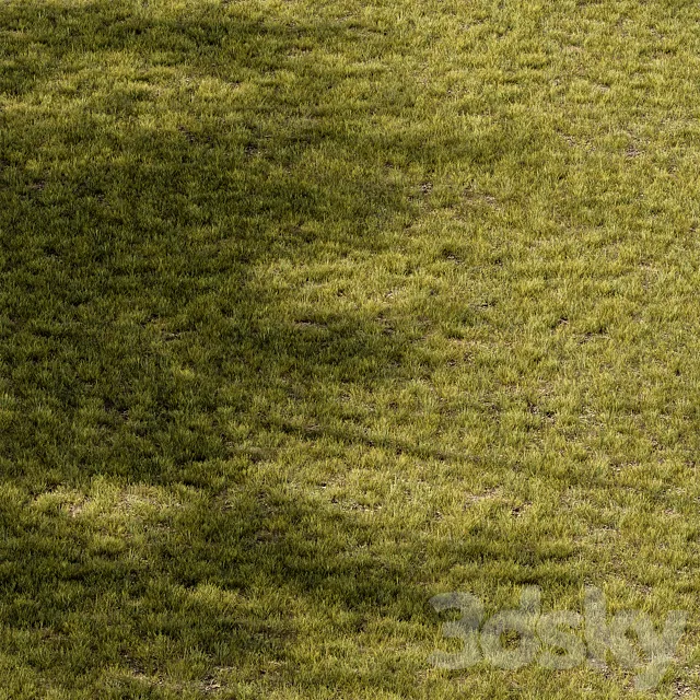 Short Grass Set 29 3D Model Short Grass Set 29 3D Model