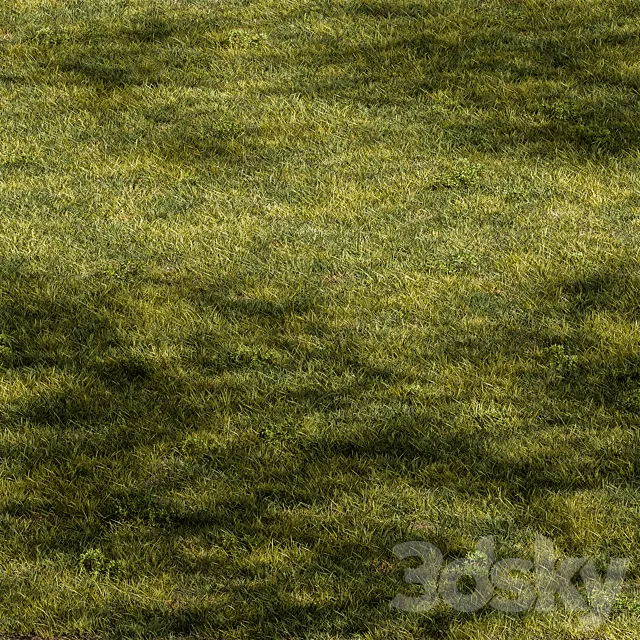 Short Grass Set 31 3D Model