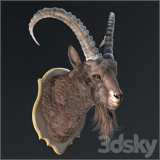 Siberian ibex 3D Model Siberian ibex 3D Model