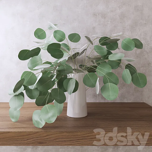 Silver Dollar Eucalyptus 3DModel Silver Dollar Eucalyptus 3DModel