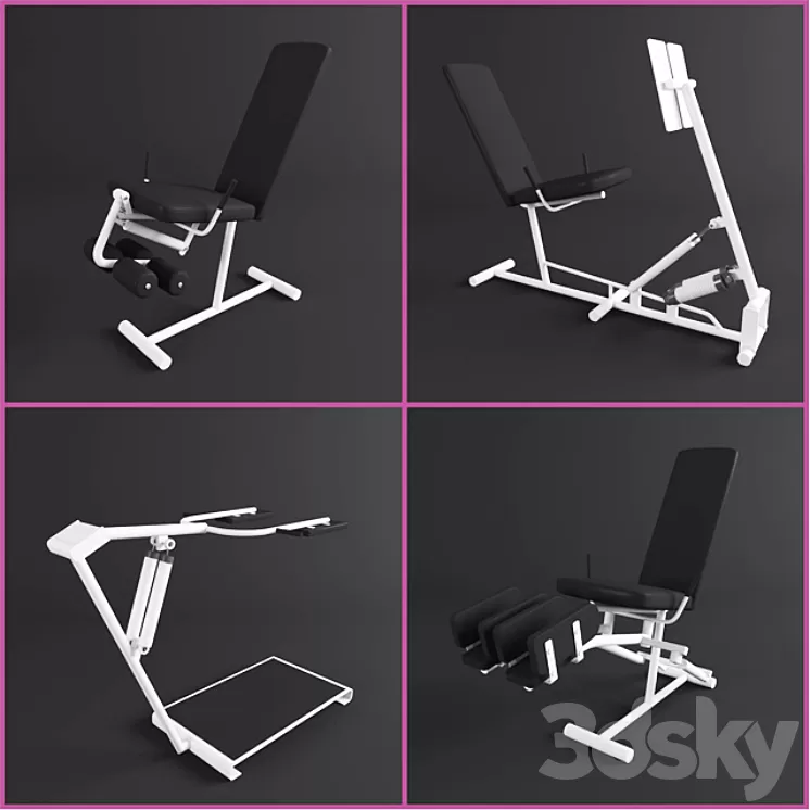 simulators Fitcurves 3D Model