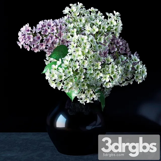 Sirien 4 3D Model Download Sirien 4 3D Model Download