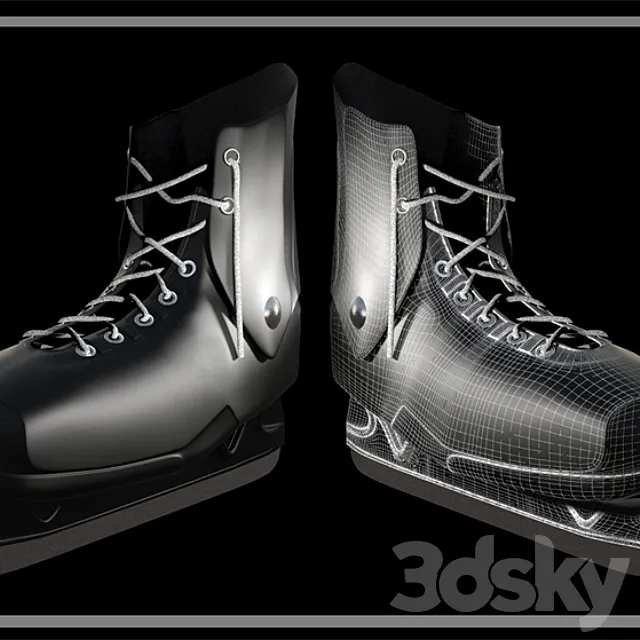 Skates Dynamo 3DModel