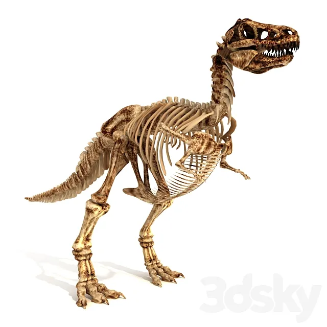 Skeleton of the Dinosaur Trex 3DModel