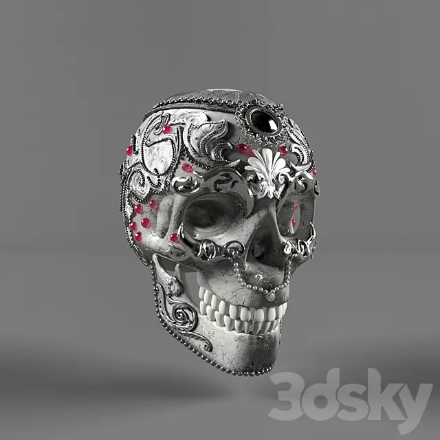 skull 3D Model skull 3D Model