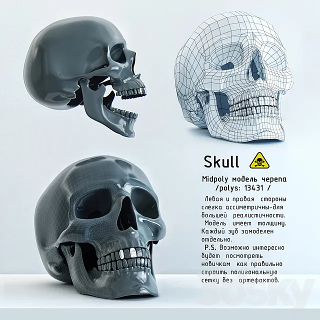 Skull 3DModel