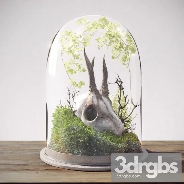 Skull In Flask 3D Model Download Skull In Flask 3D Model Download