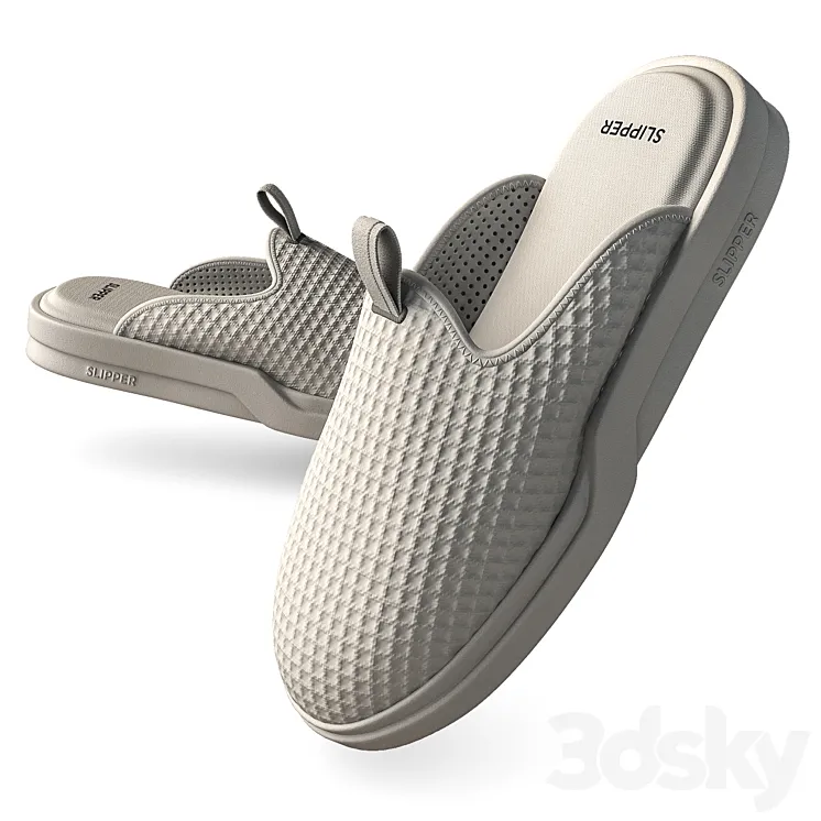 Slippers 3D Model Free Download