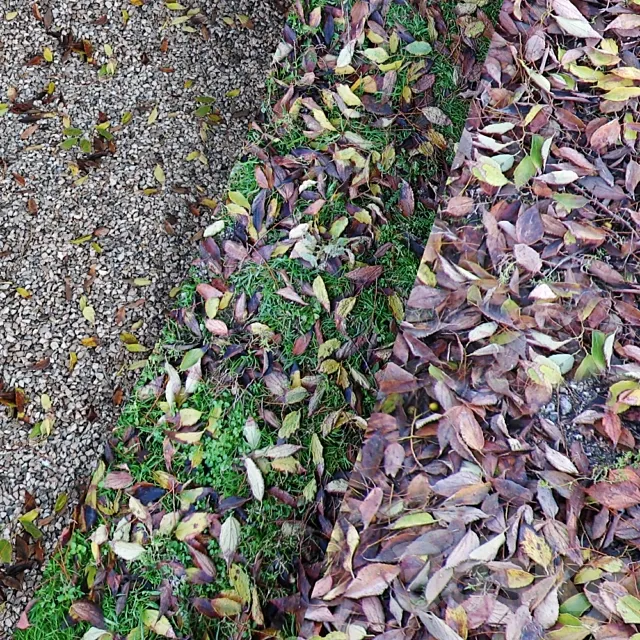 Small Ground Pack II 3D Model