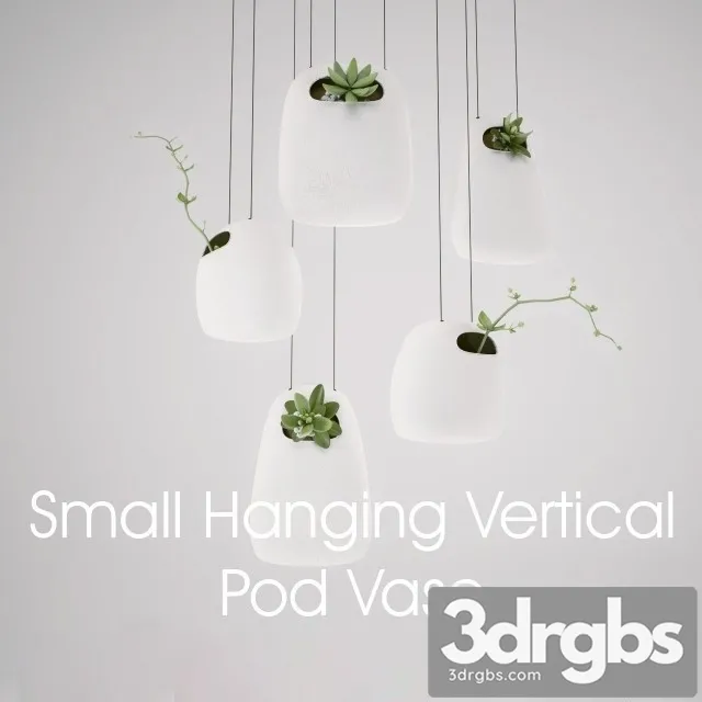 Small Hanging Vertical Pod Vase 3D Model Download