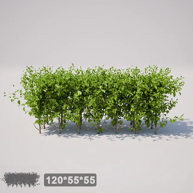 Small square bush 3D Model