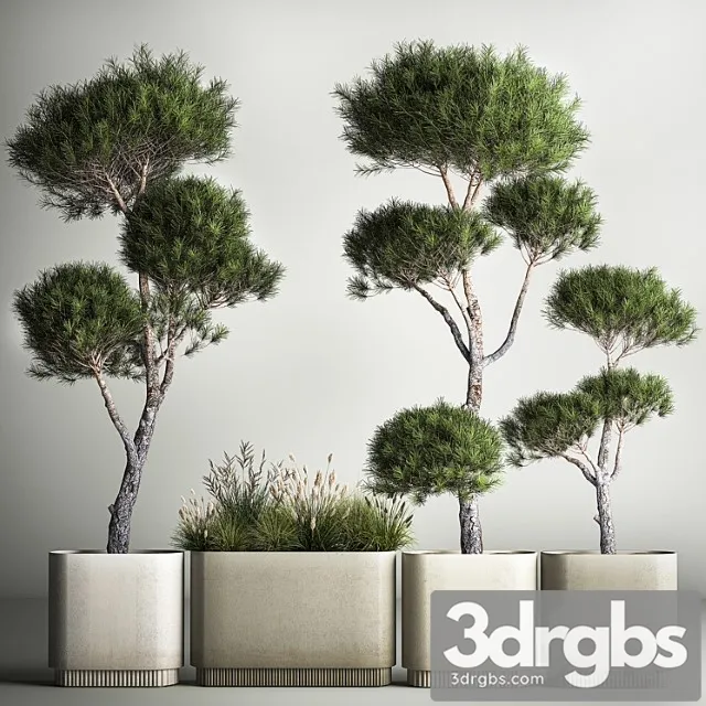 Small Trees in Pots Pine Topiary Field Flowers Bush Kovil Grass Collection Plants 1177 3D Model Download