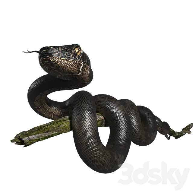 Snake 3D Model