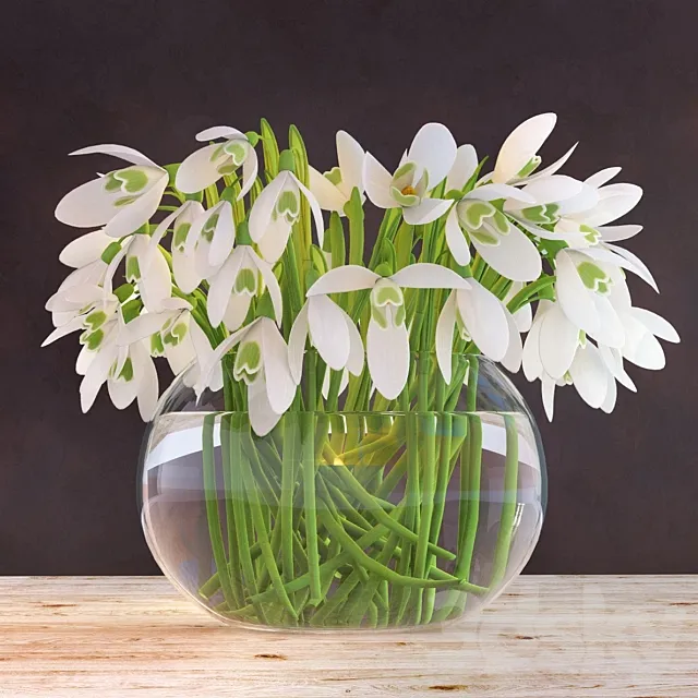 Snowdrops in a vase 3DModel