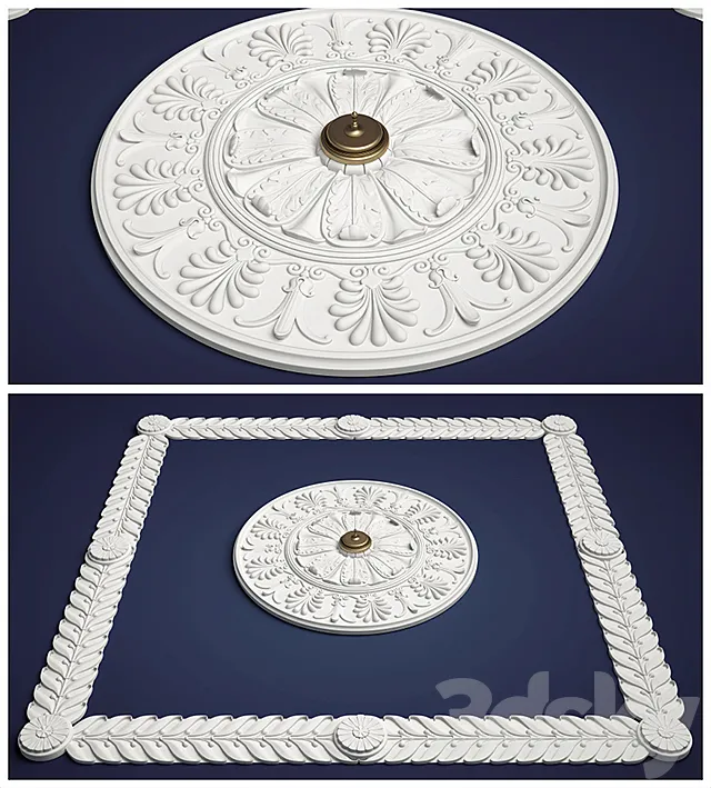 Socket Gyps 3D Model