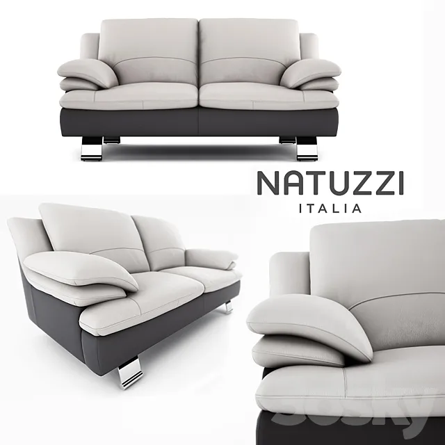 Sofa Natuzzi 3D Model Sofa Natuzzi 3D Model