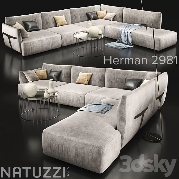 Sofa_natuzzi_herman 2981 3D Model