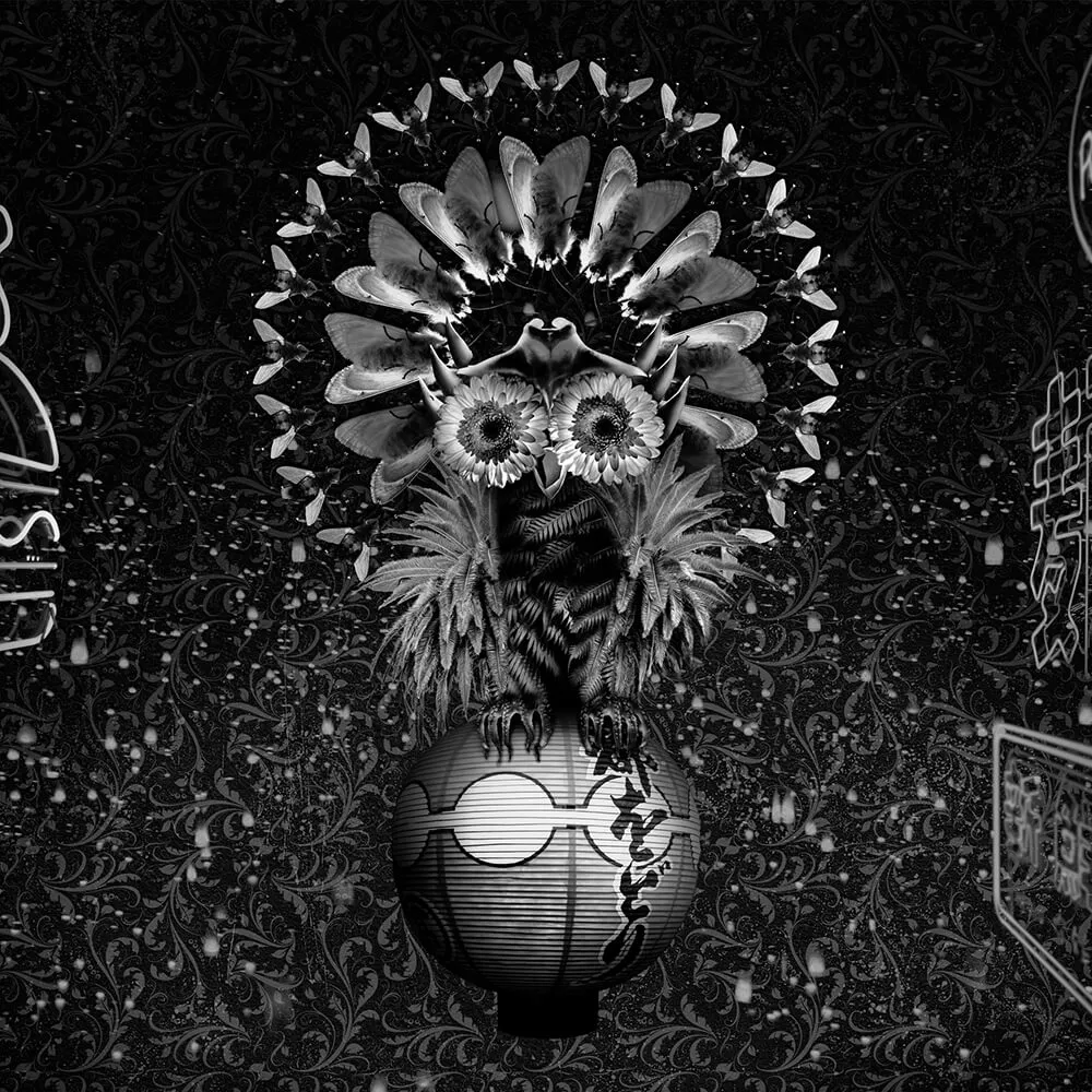 Spaghetti Wall – Wallpaper Bubo WPN 109 3D Model Spaghetti Wall – Wallpaper Bubo WPN 109 3D Model