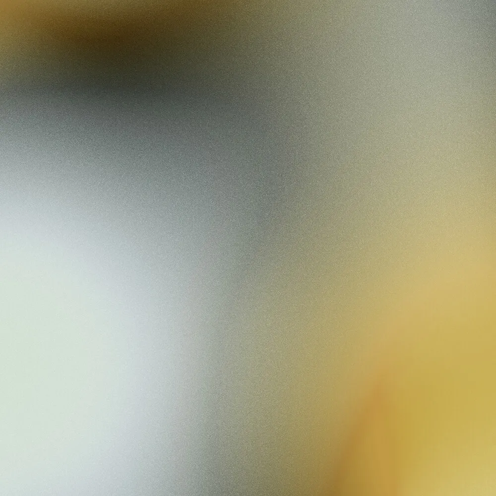 Spaghetti Wall  – Wallpaper Cromatique N°2 WPN 901 3D Model