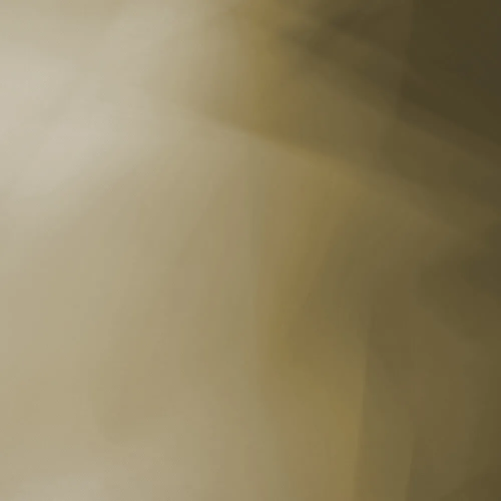 Spaghetti Wall  – Wallpaper Innuendo WPN 904 3D Model