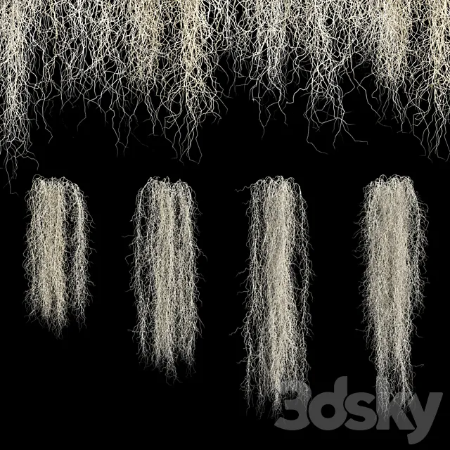 Spanish moss 3D Model Spanish moss 3D Model
