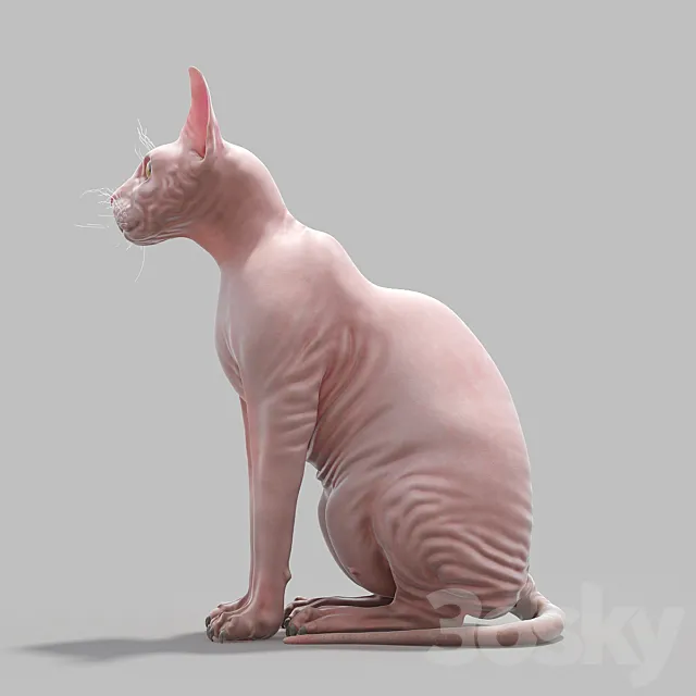 Sphynx Busko 3DModel