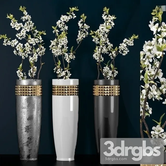 Spiraea Thunbergii 3D Model Download Spiraea Thunbergii 3D Model Download