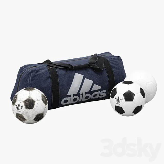Sports Bag And Soccer Balls 3D Model