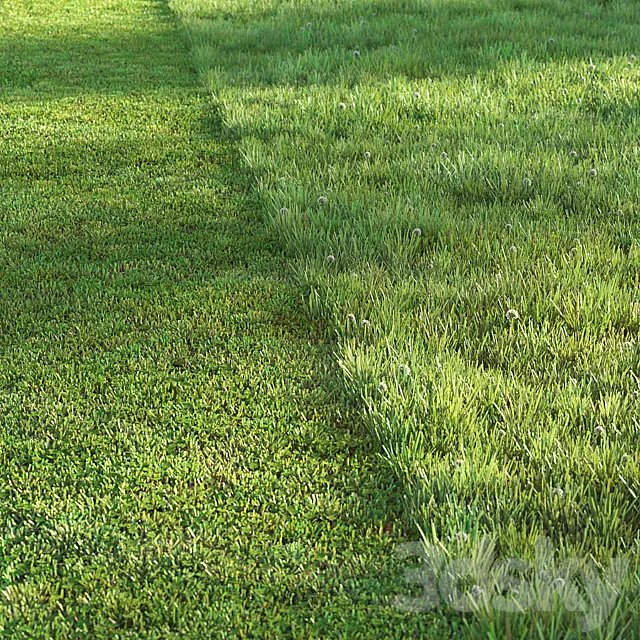 Sports turf 3D Model Sports turf 3D Model