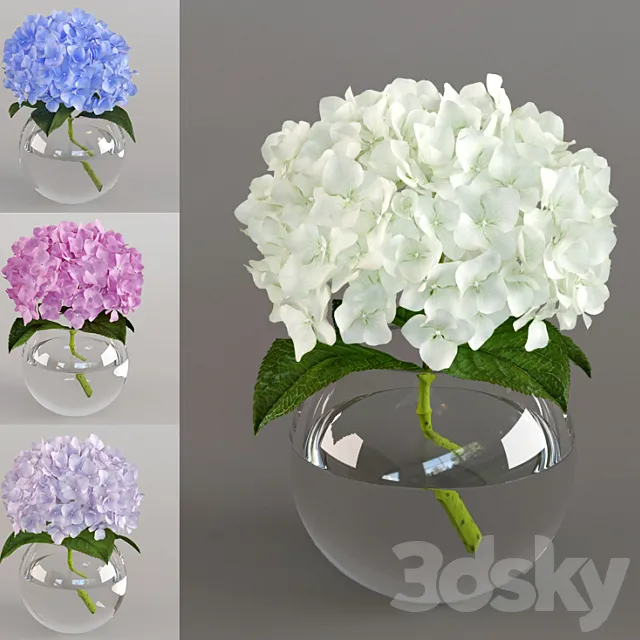 Spray the hydrangea 3DModel Spray the hydrangea 3DModel