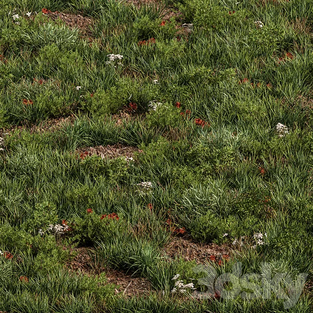 Spring Grass – Grass Set 07 3D Model Spring Grass – Grass Set 07 3D Model